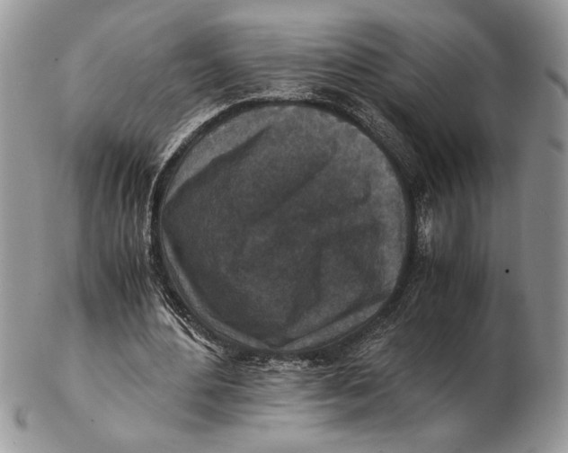 X0000102390484200808221828