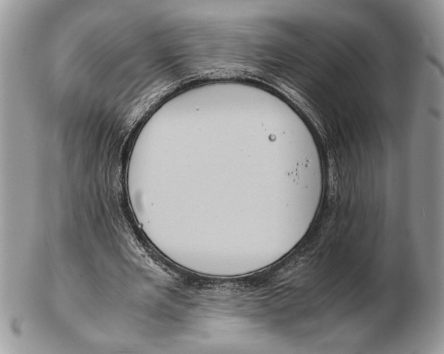 X0000102390485200808221828