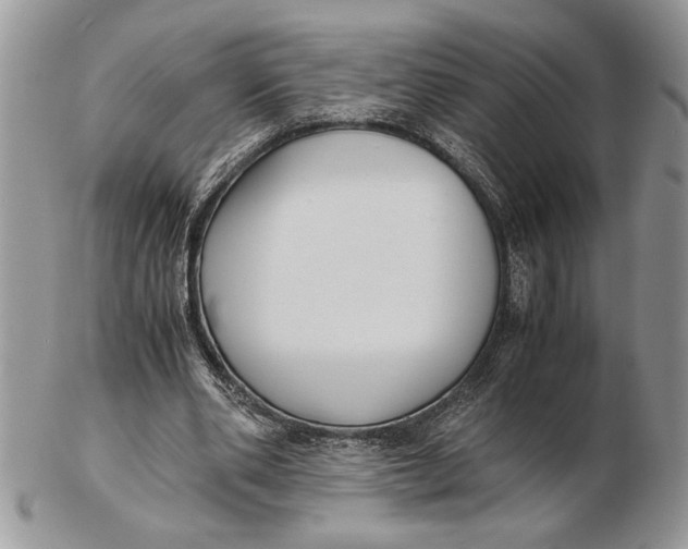 X0000102390486200808221828