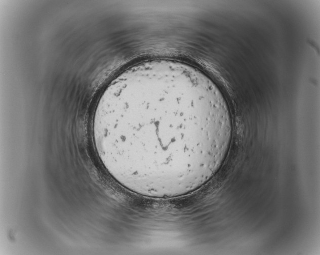 X0000102390487200808221828