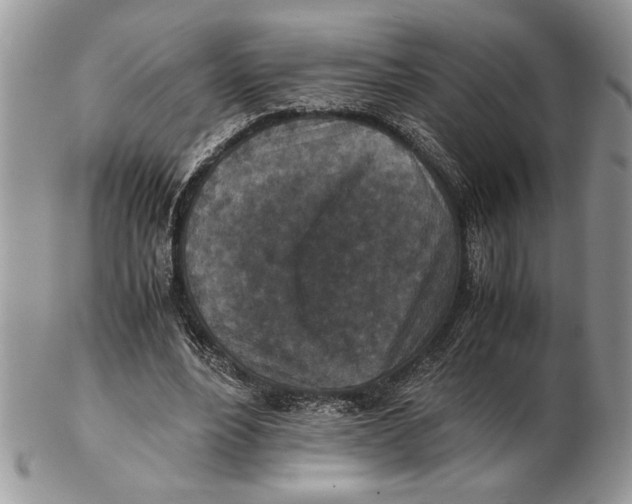 X0000102390488200808221828