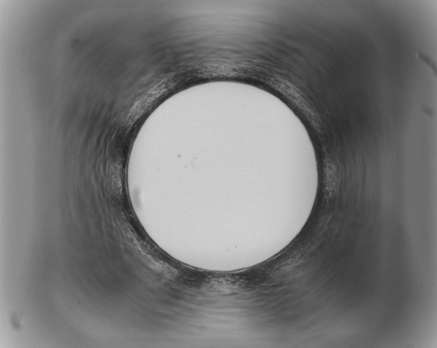 X0000102390489200808221828