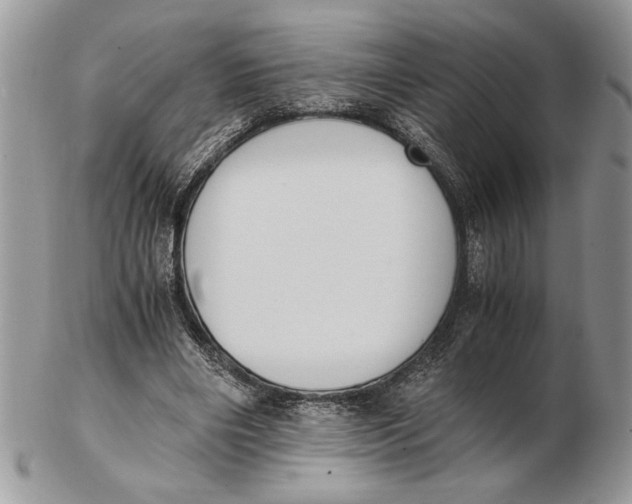 X0000102390490200808221828