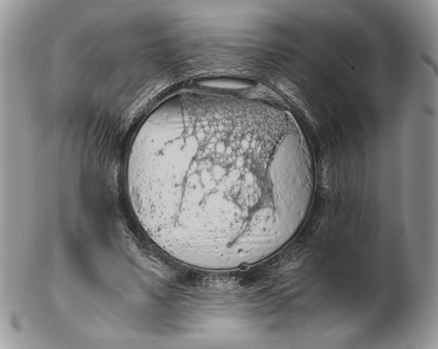 X0000102390491200808221828