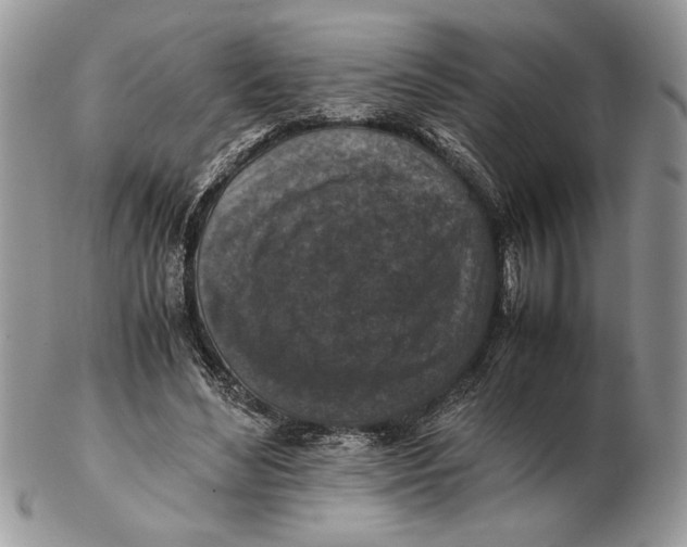 X0000102390492200808221828