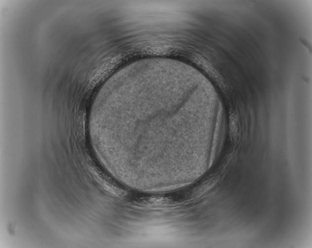 X0000102390493200808221828