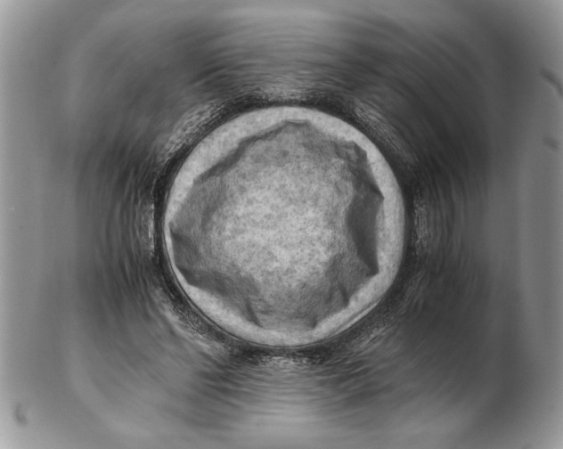 X0000102390494200808221828