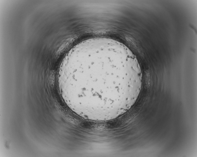 X0000102390495200808221828