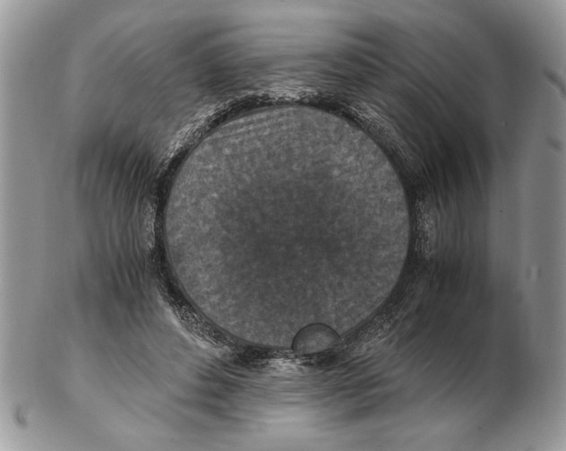 X0000102390496200808221828