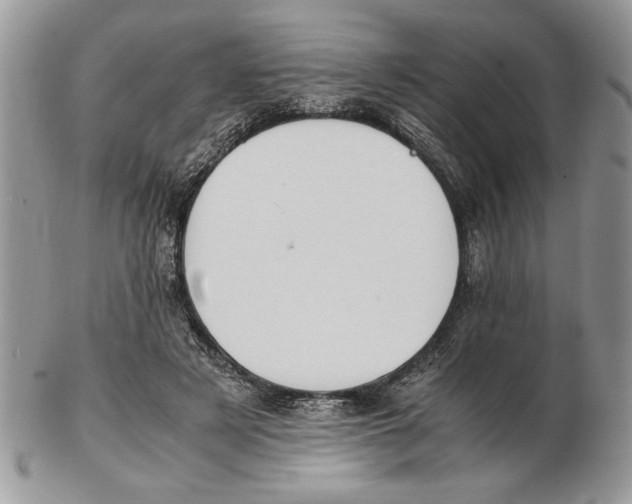 X0000102390497200808221828