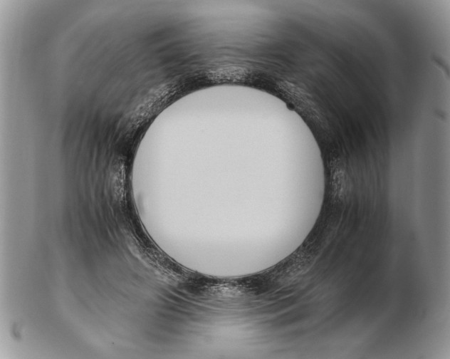 X0000102390498200808221828