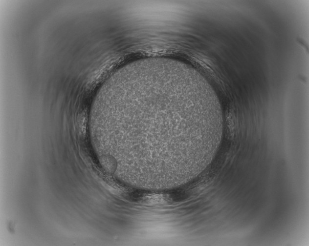 X0000102390499200808221828