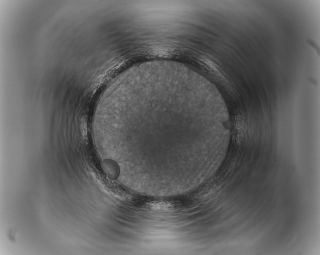 X0000102390500200808221828