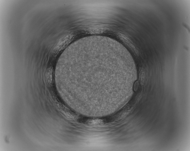 X0000102390501200808221828