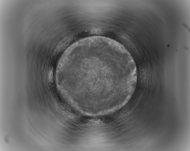 X0000102390502200808221828