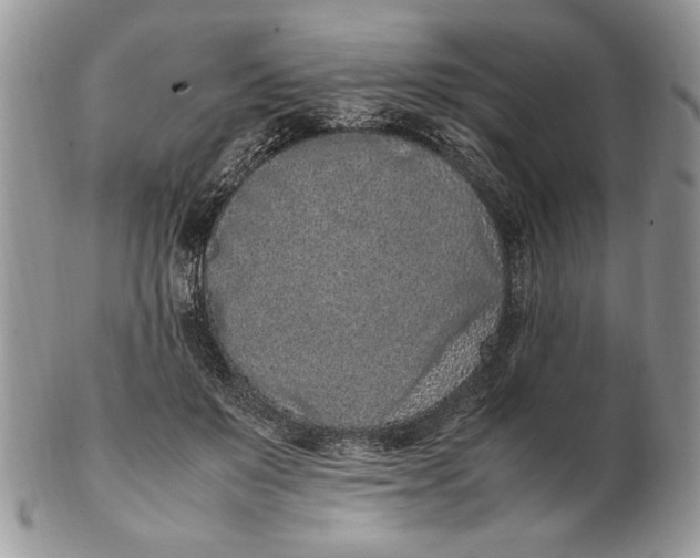 X0000102390503200808221828