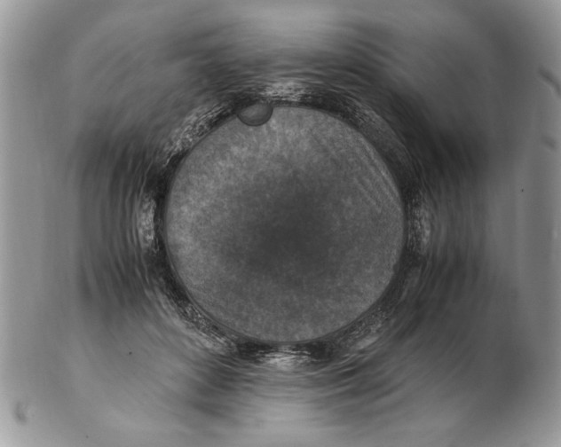 X0000102390504200808221828