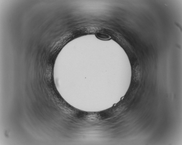 X0000102390505200808221828