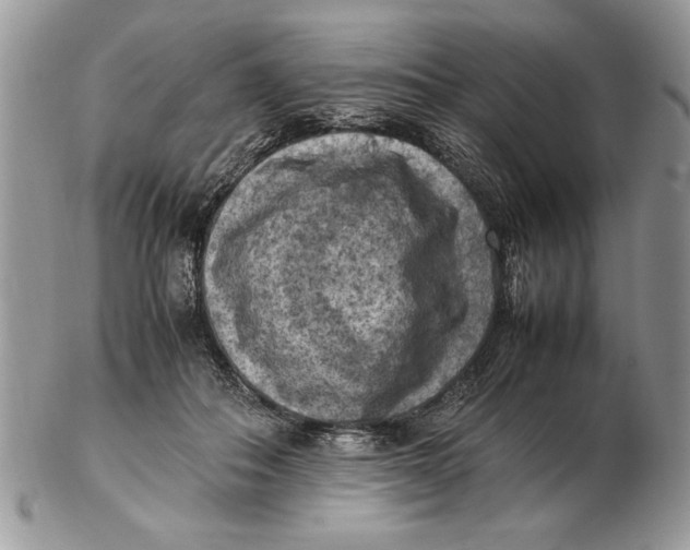 X0000102390506200808221828