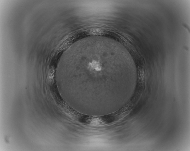 X0000102390507200808221828