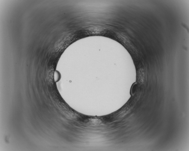 X0000102390509200808221828