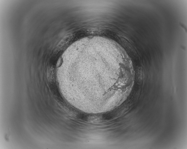 X0000102390511200808221828