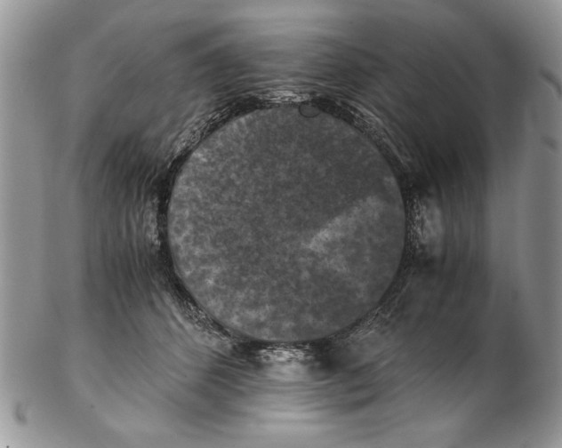 X0000102390512200808221828