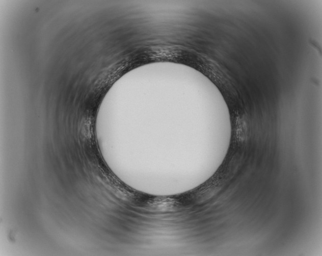 X0000102390514200808221828