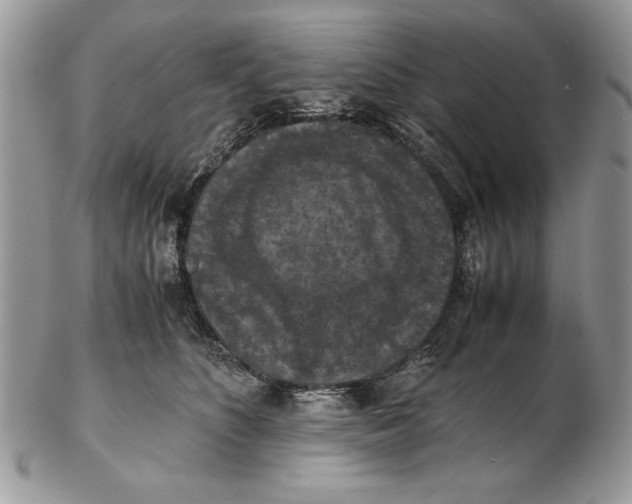 X0000102390516200808221828