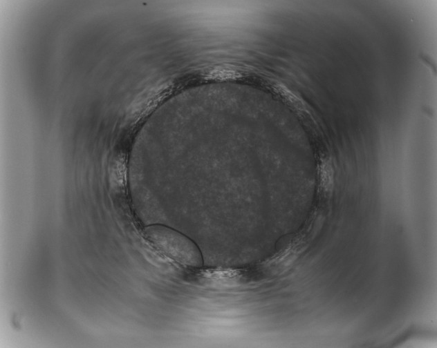 X0000102390517200808221828