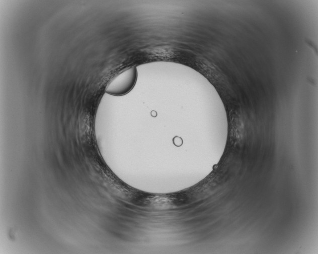 X0000102390518200808221828