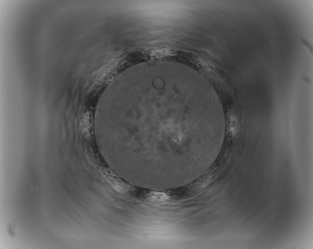 X0000102390519200808221828