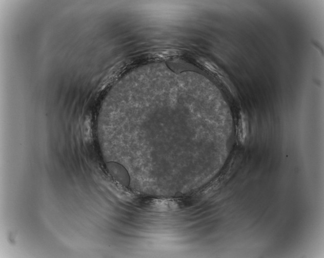 X0000102390520200808221827