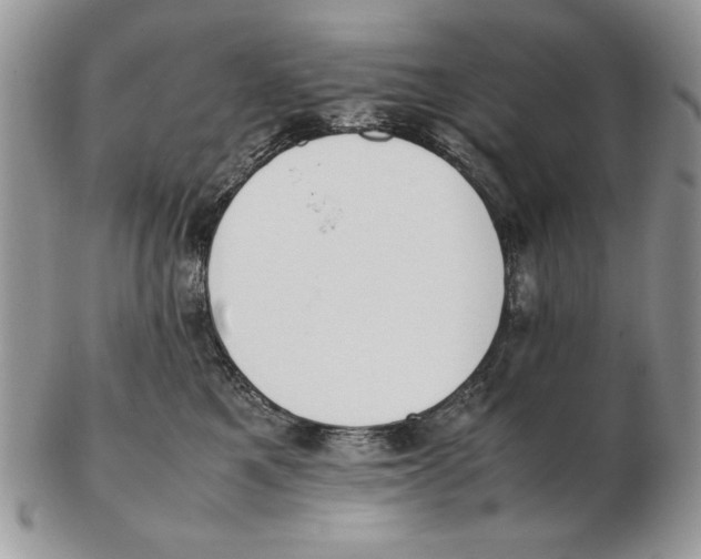 X0000102390521200808221827