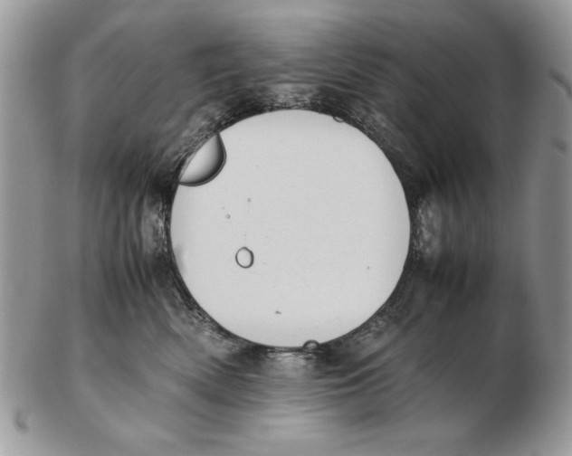 X0000102390522200808221827