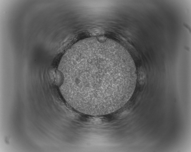 X0000102390523200808221827