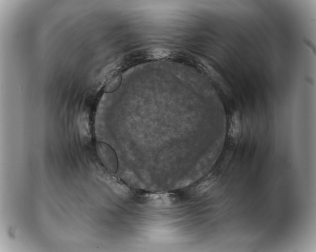 X0000102390524200808221827