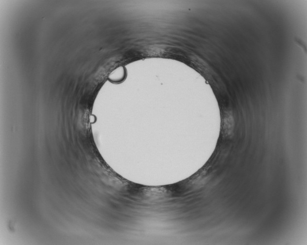 X0000102390525200808221827