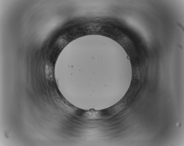 X0000102390526200808221827