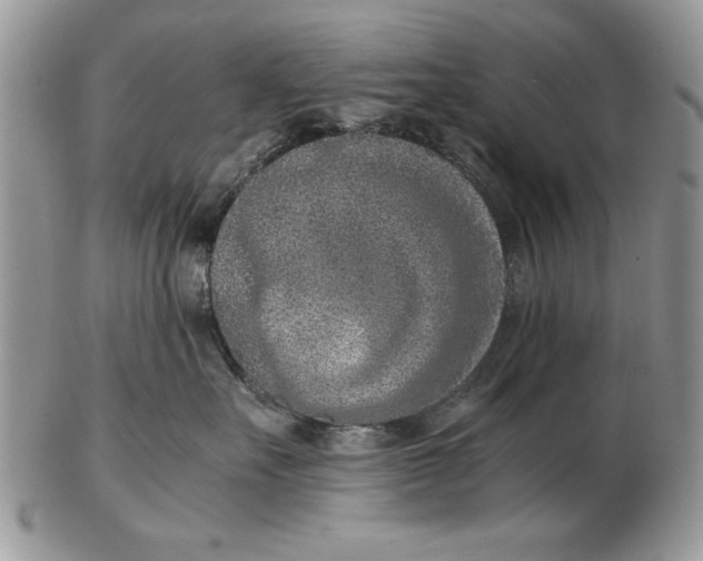 X0000102390527200808221827