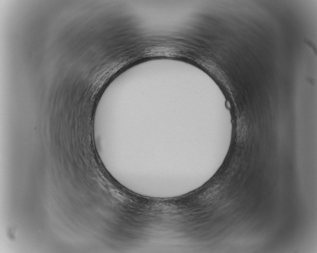 X0000102390529200808221827