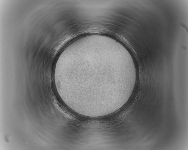 X0000102390530200808221827