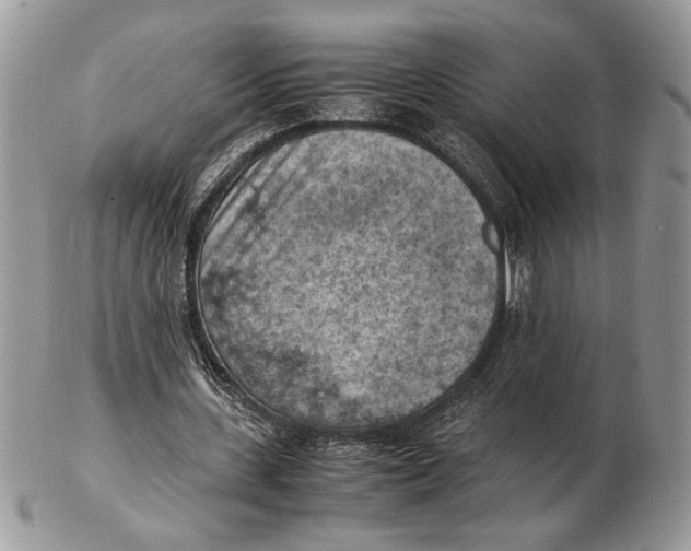 X0000102390531200808221827