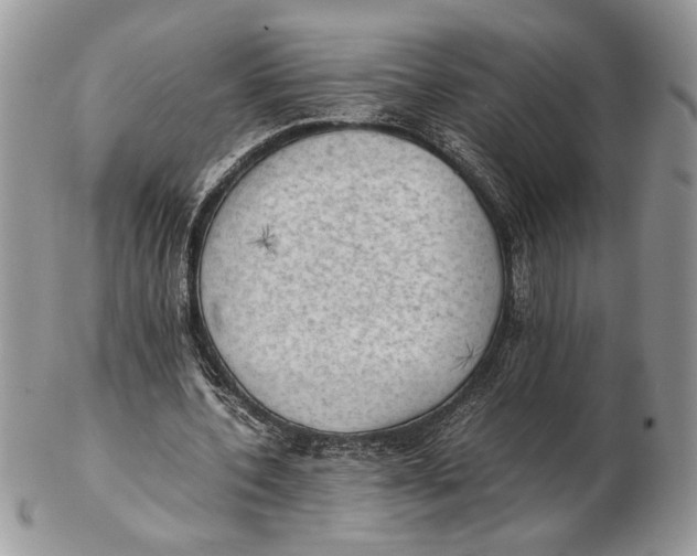 X0000102390532200808221827