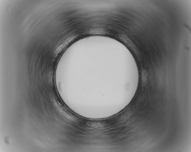 X0000102390533200808221827