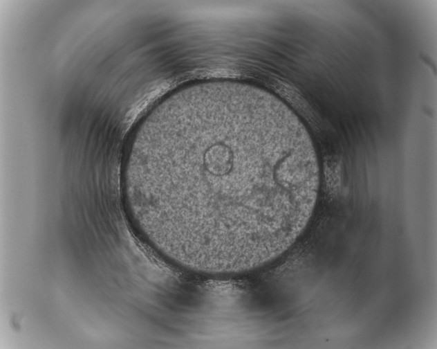 X0000102390534200808221827