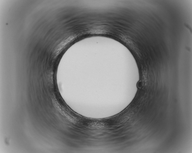 X0000102390535200808221827