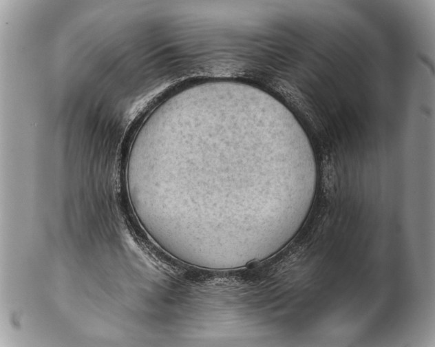 X0000102390536200808221827