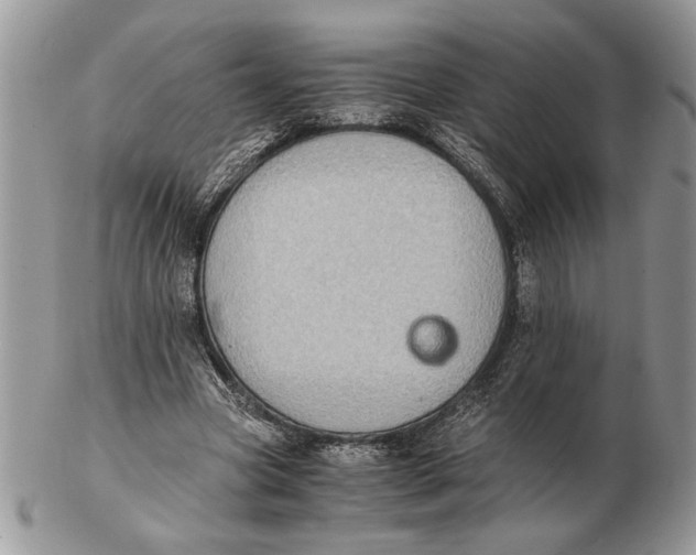 X0000102390537200808221827