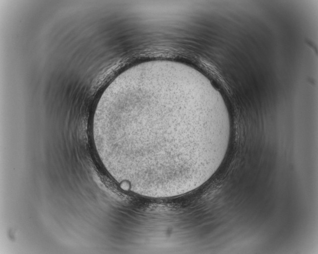 X0000102390538200808221827